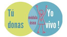 Donacion de medula osea