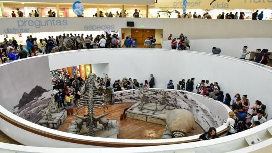 La Noche de los Museos, un fenómeno que creció más de un 40% en tres años