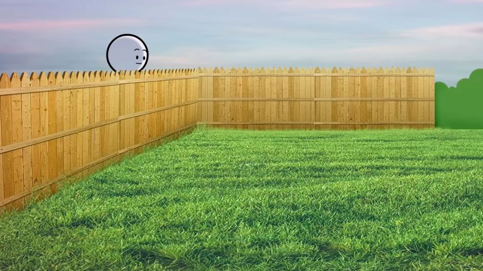 Pasto verde del vecino