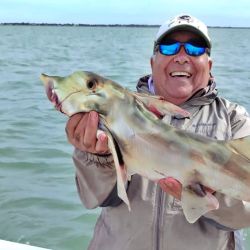 Bahía San Blas continúa consolidándose como un destino clave para el turismo de naturaleza y pesca deportiva, atrayendo año tras año a pescadores de todo el país.