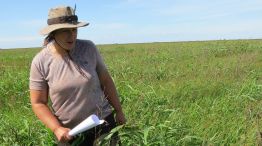 Las aptitudes claves que los pequeños productores