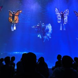 Imagen de turistas observando un espectáculo bajo el agua en el Hainan Ocean Paradise Resort, en el distrito autónomo li de Lingshui, en la provincia de Hainan, en el sur de China. | Foto:Xinhua/Guo Cheng