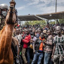 Un agente de la Policía de Kenia a caballo intenta controlar a una multitud de dolientes y simpatizantes del líder de la oposición y ex primer ministro Raila Odinga, que hacen fila para ver su ataúd a la llegada de su cortejo fúnebre a su región natal, Kisumu. Grandes multitudes se congregaron en el oeste de Kenia para ver el cuerpo de un querido político, Raila Odinga, en el mayor día de ceremonias de luto. | Foto:LUIS TATO / AFP