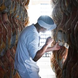 Un empleado controla la curación de los jamones en una de las fábricas de jamón de San Daniele, en San Daniele del Friuli, al noreste de Italia. | Foto:STEFANO RELLANDINI / AFP