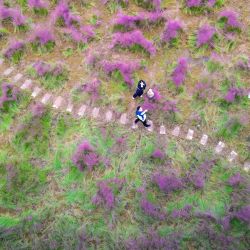 Vista aérea tomada con un dron de personas disfrutando de una excursión en un parque de humedales, en Luoyang, en la provincia de Henan, en el centro de China. Personas están saliendo al aire libre para disfrutar de los agradables días de otoño en toda China. | Foto:Xinhua/Huang Zhengwei