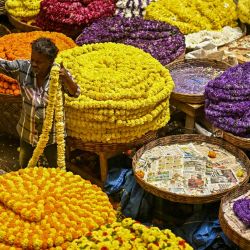 Un vendedor de flores prepara una guirnalda de caléndula antes de las celebraciones de Diwali, el festival hindú de las luces, en el mercado KR de Bengaluru, India. | Foto:IDREES MOHAMMED / AFP