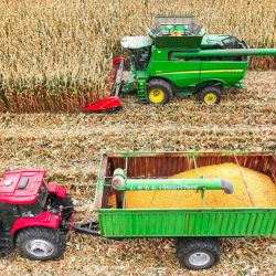 Vista aérea tomada con un dron de una segadora trabajando en un campo de maíz, en el distrito de Horqin de la ciudad de Tongliao, en la región autónoma de Mongolia. | Foto:Xinhua/Lian Zhen