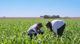 El campo y la confianza a Milei