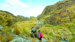 2110_TREKKING