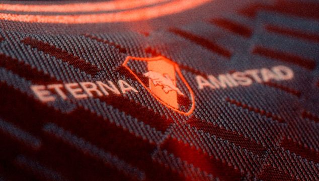 Camiseta del Torino