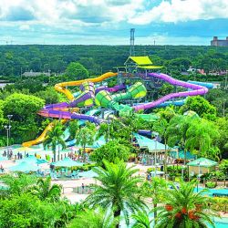 Turismo, 4x4, náutica, armas y por supuesto mucha pesca en tu Weeken de noviembre.