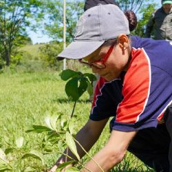 La plantación del árbol 100.000 se hizo realidad.