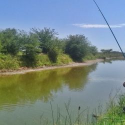 A pesar de tener su predio en la laguna Indio Muerto, el club optó por realizar el torneo en Canal 16 por los aumentos constantes que está teniendo de agua el espejo de Saladillo. 