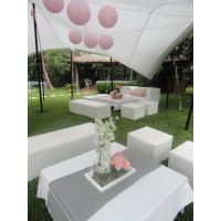 Eventos al Aire Libre y Fiestas de 15: Escenarios que Cautivan