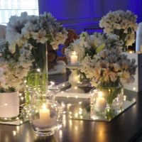 Eventos al Aire Libre y Fiestas de 15: Escenarios que Cautivan