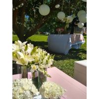 Eventos al Aire Libre y Fiestas de 15: Escenarios que Cautivan