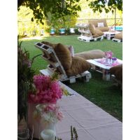 Eventos al Aire Libre y Fiestas de 15: Escenarios que Cautivan