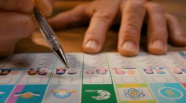 Elecciones 2025: Boleta Única de Papel