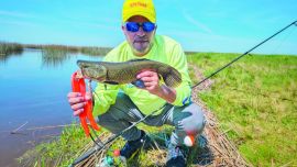 1022_contenidonoviembre