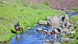 Al trote, del llano a la montaña
