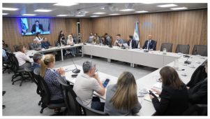 comision invstigadora libra 21102025