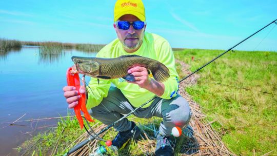 1022_contenidonoviembre