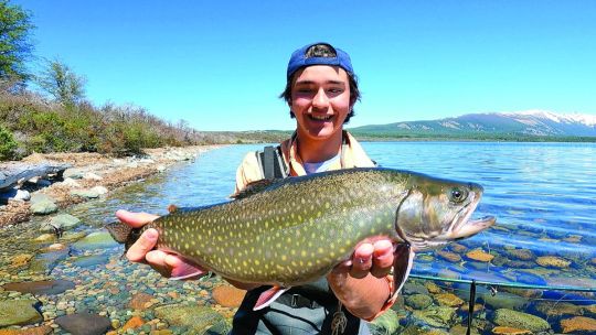 1022_contenidonoviembre