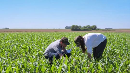 Sector agropecuario: “El 68% de los productores piensan que no es hoy un buen momento para invertir”