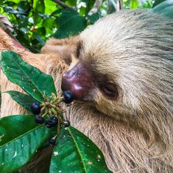 Costa Rica ofrece un compendio de actividades para todos los gustos. Sólo hace falta ir a descubrirlas.