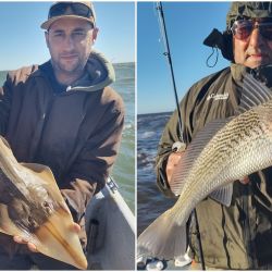 En poco más de cuatro horas de pesca efectiva, la jornada resultó más que suficiente para disfrutar de una impresionante variedad de especies: corvinas rubias, melgachos, gatuzos, bagres, pez palo, congrios y pescadillas.