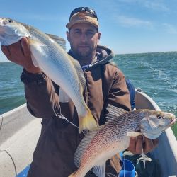 En poco más de cuatro horas de pesca efectiva, la jornada resultó más que suficiente para disfrutar de una impresionante variedad de especies: corvinas rubias, melgachos, gatuzos, bagres, pez palo, congrios y pescadillas.