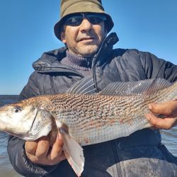 En poco más de cuatro horas de pesca efectiva, la jornada resultó más que suficiente para disfrutar de una impresionante variedad de especies: corvinas rubias, melgachos, gatuzos, bagres, pez palo, congrios y pescadillas.