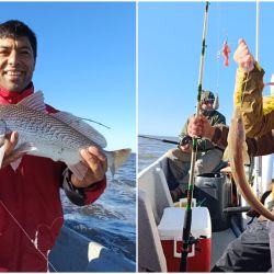 En poco más de cuatro horas de pesca efectiva, la jornada resultó más que suficiente para disfrutar de una impresionante variedad de especies: corvinas rubias, melgachos, gatuzos, bagres, pez palo, congrios y pescadillas.