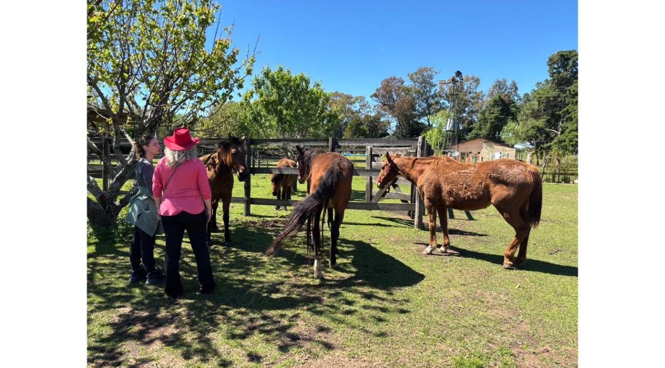 SANAR DESDE EL ALMA CON CABALLOS