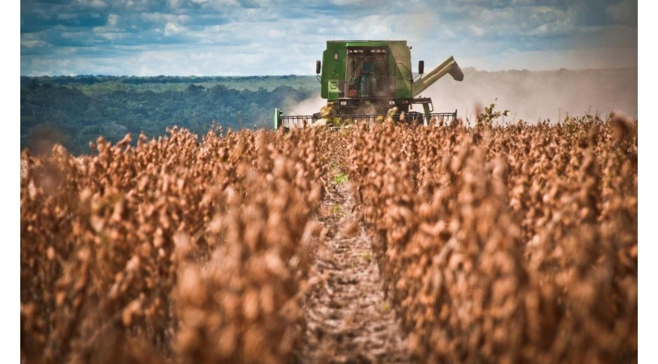 SOYAr impulsa la transición: BIOACEITE SOLUBLE y BIOACEITES HIDRÁULICOS para producir más con menor huella
