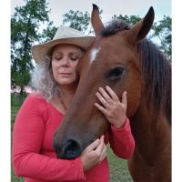 SANAR DESDE EL ALMA CON CABALLOS
