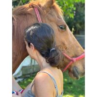 SANAR DESDE EL ALMA CON CABALLOS