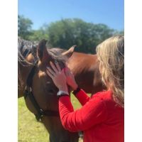 SANAR DESDE EL ALMA CON CABALLOS