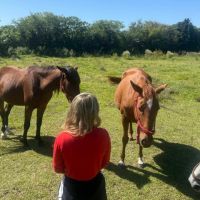 SANAR DESDE EL ALMA CON CABALLOS