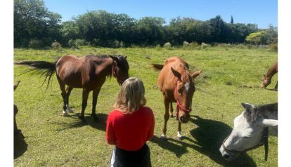 SANAR DESDE EL ALMA CON CABALLOS