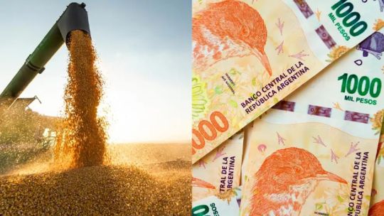 Evasión fiscal en el agro: “Hay que atacarlo fuertemente porque provoca una competencia desleal” Evasión fiscal en el agro: “Hay que atacarlo fuertemente porque provoca una competencia desleal”