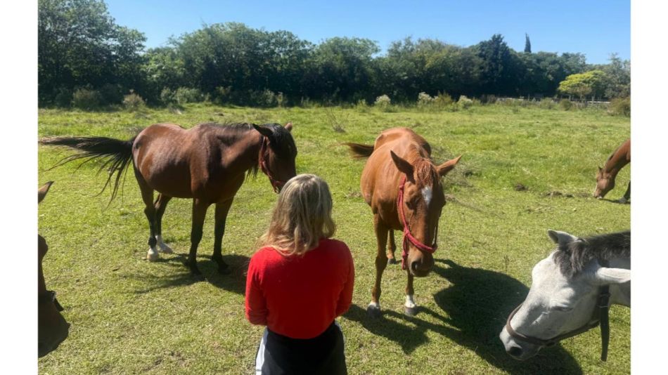 SANAR DESDE EL ALMA CON CABALLOS