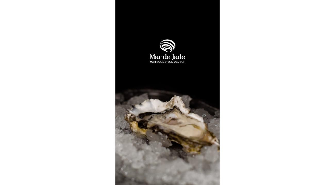 Mar de Jade: del mar patagónico a la mesa gourmet