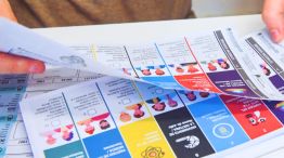 Elecciones legislativas 2025 - Boleta Única de Papel