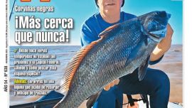 Tapa de la edición 636 de revista Weekend, noviembre de 2025.