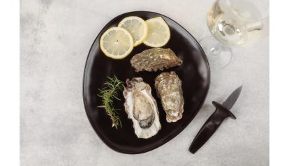Mar de Jade: del mar patagónico a la mesa gourmet 