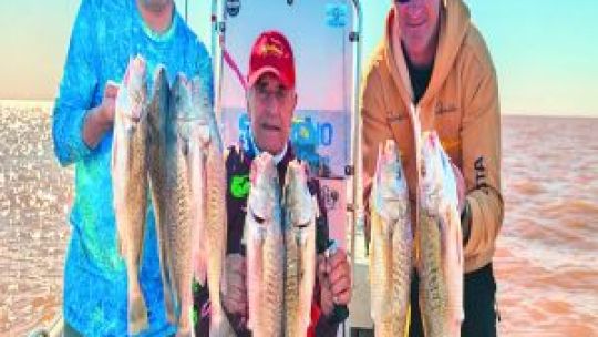 2310_PESCA