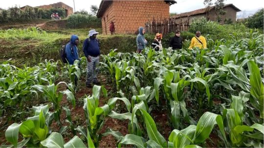 Cómo impacta el proceso electoral en el agro: “El productor necesita saber qué contexto económico va a tener” Cómo impacta el proceso electoral en el agro: “El productor necesita saber qué contexto económico va a tener”