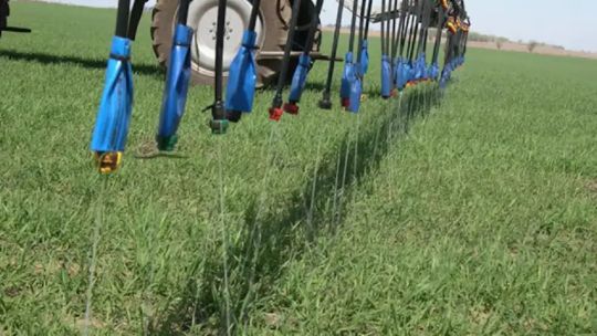 Desregulación de la importación de fertilizantes: “Va a facilitar el trámite y agiliza la dinámica de importación”