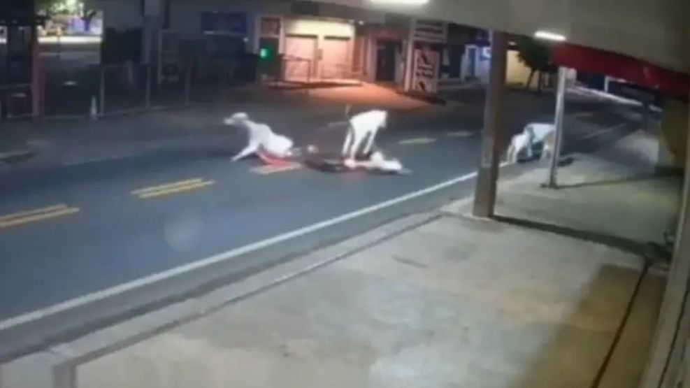 El impacto quedó grabado por una cámara.